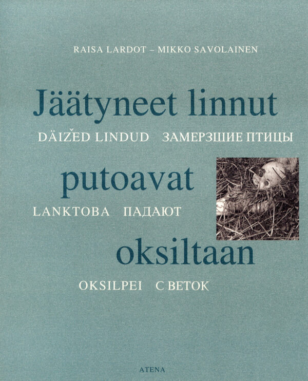 Lardot_Jäätyneet linnut putoavat oksiltaan