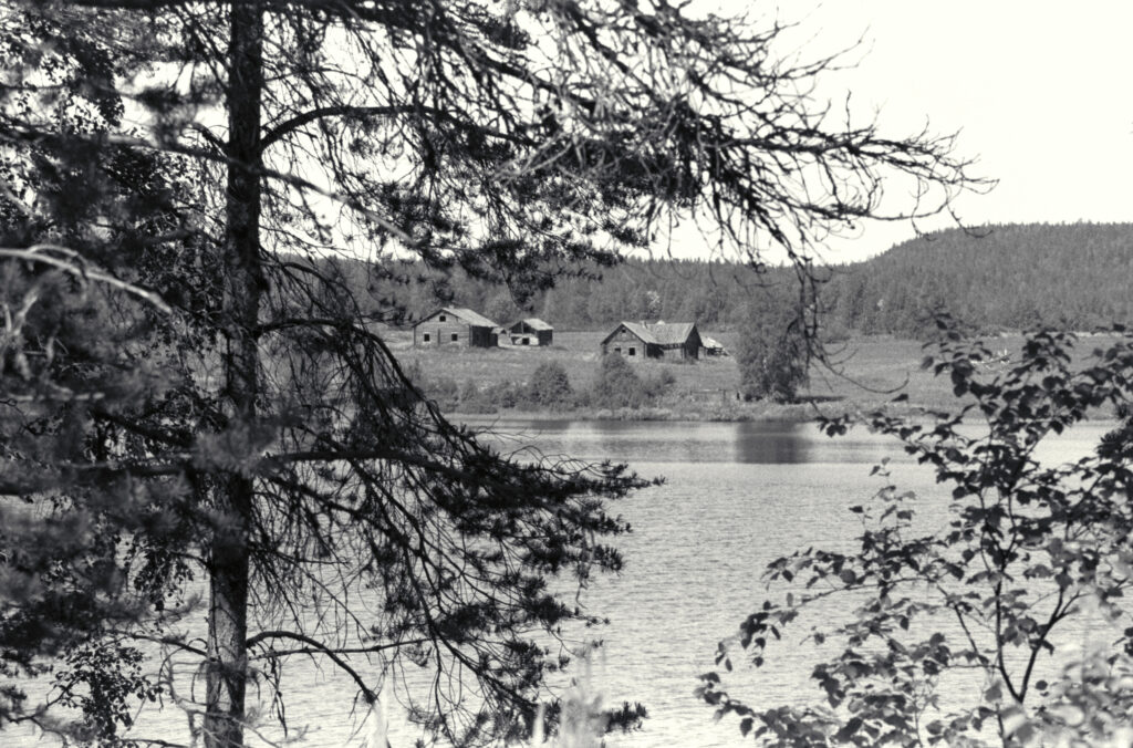 Ponkalahden järvimaisema