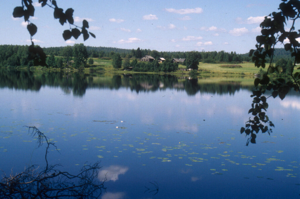 Ponkalahti: järvimaisema