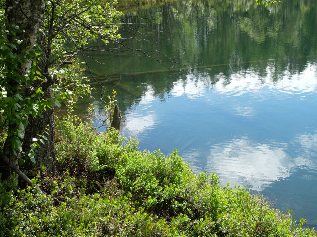 Ponkalahti: järvimaisema
