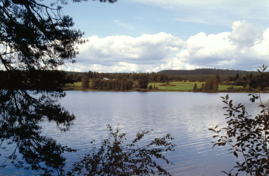 Ponkalahti: järvimaisema
