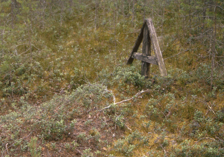 Kalmismaa